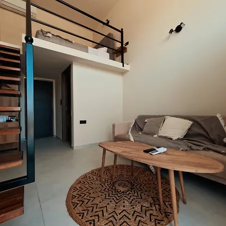 Dris Loft דירה ניקיאנה
