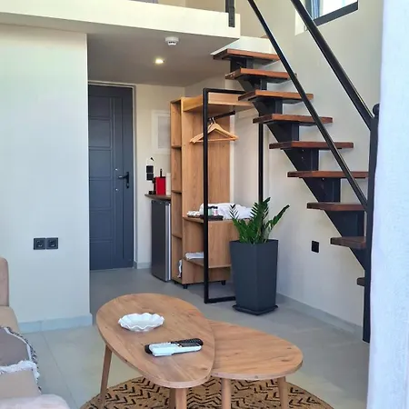 Dris Loft דירה ניקיאנה